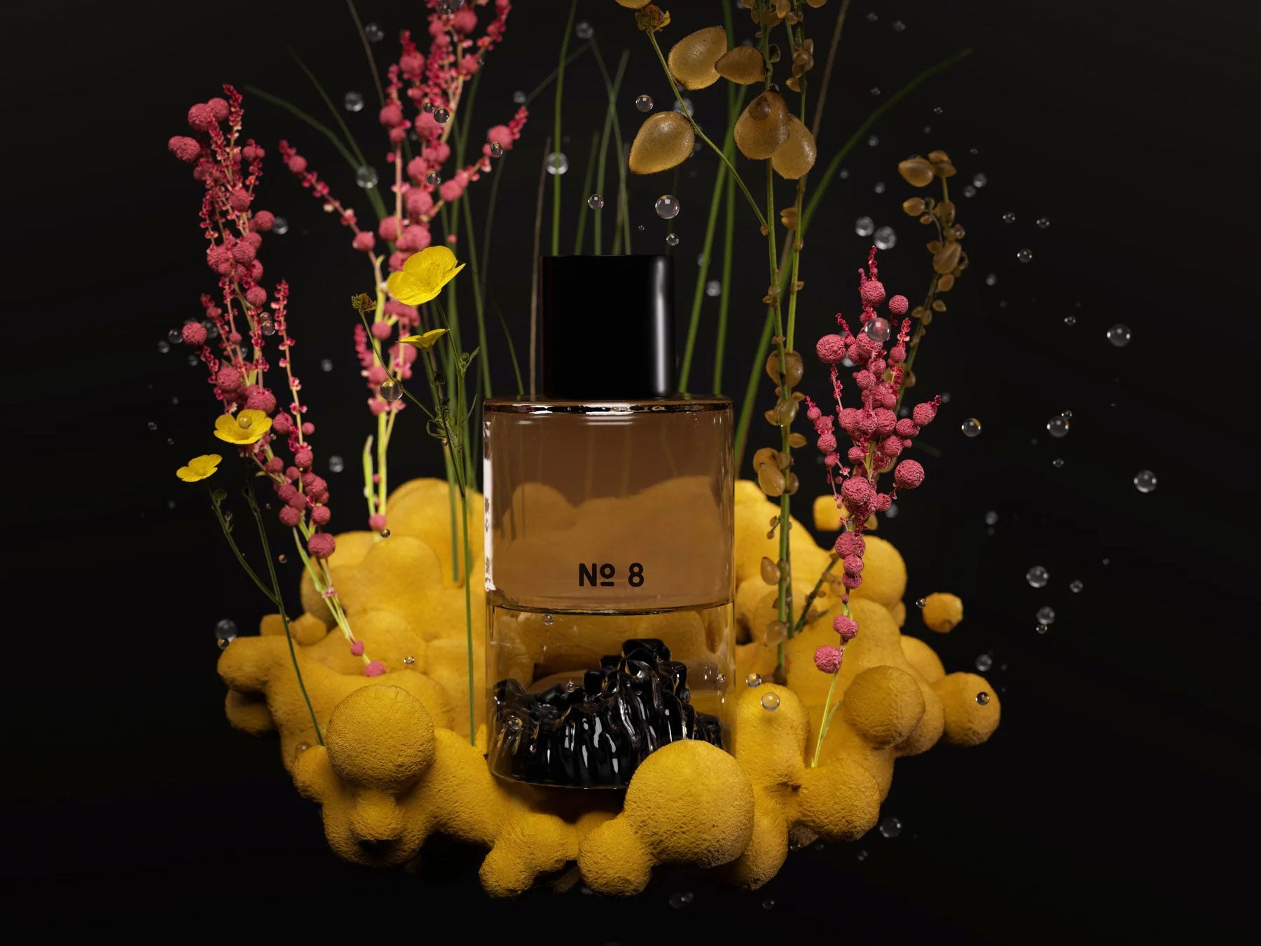No. 8 Collection